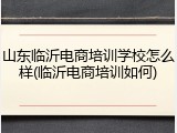 山东临沂电商培训学校怎么样(临沂电商培训如何)