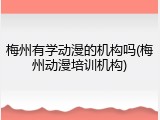 梅州有学动漫的机构吗(梅州动漫培训机构)