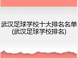 武汉足球学校十大排名名单(武汉足球学校排名)
