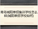 青岛城阳单招集训学校怎么样(城阳单招学校如何)