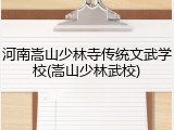河南嵩山少林寺传统文武学校(嵩山少林武校)