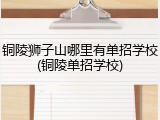 铜陵狮子山哪里有单招学校(铜陵单招学校)