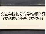 文武学校和公立学校哪个好(文武校好还是公立校好)