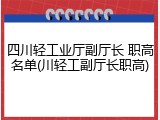 四川轻工业厅副厅长 职高名单(川轻工副厅长职高)