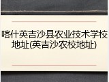 喀什英吉沙县农业技术学校地址(英吉沙农校地址)