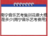 南宁音乐艺考集训花费大概是多少(南宁音乐艺考费用)