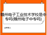 赣州电子工业技术学校是中专吗(赣州电子中专吗)