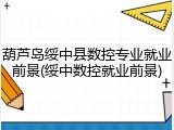 葫芦岛绥中县数控专业就业前景(绥中数控就业前景)