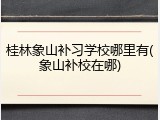 桂林象山补习学校哪里有(象山补校在哪)