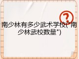 南少林有多少武术学校("南少林武校数量")