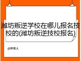 潍坊叛逆学校在哪儿报名技校的(潍坊叛逆技校报名)