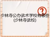 少林寺公办武术学校有哪些(少林寺武校)