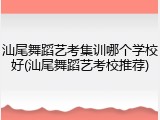 汕尾舞蹈艺考集训哪个学校好(汕尾舞蹈艺考校推荐)