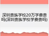 深圳贵族学校20万学费贵吗(深圳贵族学校学费贵吗)