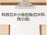 科技芯片小说在线(芯片科技小说)
