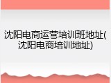 沈阳电商运营培训班地址(沈阳电商培训地址)