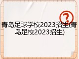 青岛足球学校2023招生(青岛足校2023招生)