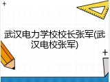 武汉电力学校校长张军(武汉电校张军)