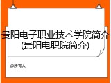 贵阳电子职业技术学院简介(贵阳电职院简介)