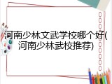 河南少林文武学校哪个好(河南少林武校推荐)
