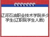 辽河石油职业技术学院多少学生(辽职院学生人数)