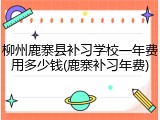 柳州鹿寨县补习学校一年费用多少钱(鹿寨补习年费)