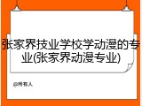 张家界技业学校学动漫的专业(张家界动漫专业)