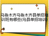 乌鲁木齐乌鲁木齐县单招培训班有哪些(乌县单招培训)