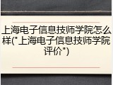 上海电子信息技师学院怎么样("上海电子信息技师学院评价")