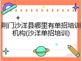 荆门沙洋县哪里有单招培训机构(沙洋单招培训)