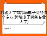 哪些大学有跨境电子商务这个专业(跨境电子商务专业大学)