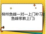 柳州鱼峰一对一上门补习(鱼峰家教上门)