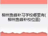 柳州鱼峰补习学校哪里有(柳州鱼峰补校位置)