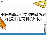 贵阳电商职业学校电商怎么样(贵阳电商职校如何)