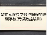 楚雄元谋县学数控编程的培训学校(元谋数控培训)