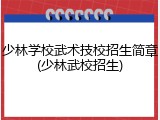 少林学校武术技校招生简章(少林武校招生)