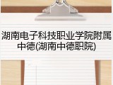 湖南电子科技职业学院附属中德(湖南中德职院)