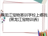 黑龙江宠物寄训学校上哪找(黑龙江宠物训养)