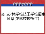 汉市少林学校技工学校招生简章(少林技校招生)