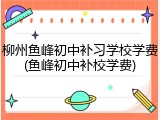 柳州鱼峰初中补习学校学费(鱼峰初中补校学费)