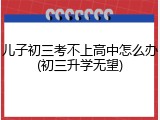 儿子初三考不上高中怎么办(初三升学无望)