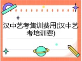 汉中艺考集训费用(汉中艺考培训费)