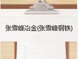 张雪峰冶金(张雪峰钢铁)