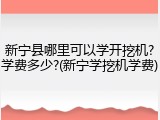 新宁县哪里可以学开挖机?学费多少?(新宁学挖机学费)