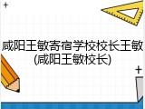 咸阳王敏寄宿学校校长王敏(咸阳王敏校长)