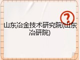 山东冶金技术研究院(山东冶研院)