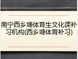 南宁西乡塘体育生文化课补习机构(西乡塘体育补习)