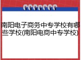 南阳电子商务中专学校有哪些学校(南阳电商中专学校)