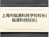 上海市临港科技学校校长(临港科技校长)