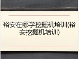裕安在哪学挖掘机培训(裕安挖掘机培训)